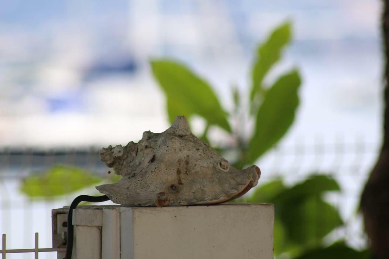Studio ds résidence sécurisée avec vue&accès à la mer . Le Moule Exterior foto